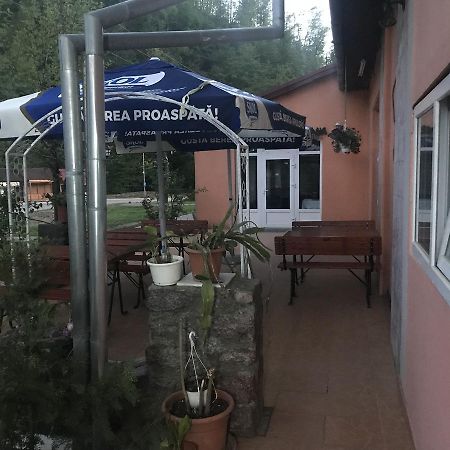 Vila Tanamera Hotel Moneasa Ngoại thất bức ảnh