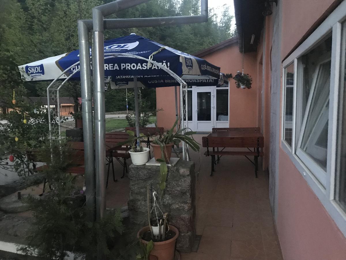 Vila Tanamera Hotel Moneasa Ngoại thất bức ảnh